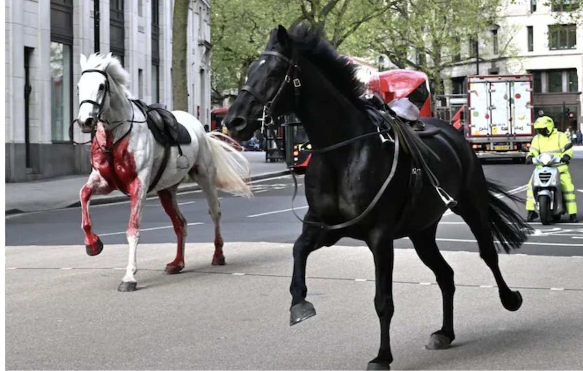 The two horses loose in London have been tracked from the Strand & eventually stopped in Limehouse.. #London