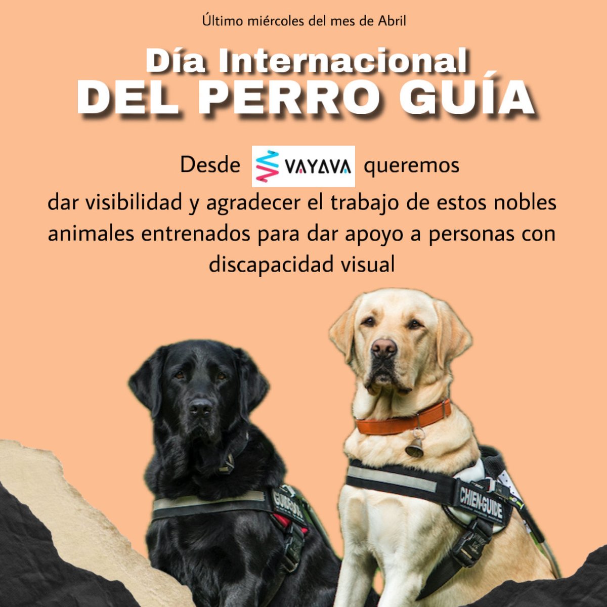 vayava_es tweet media