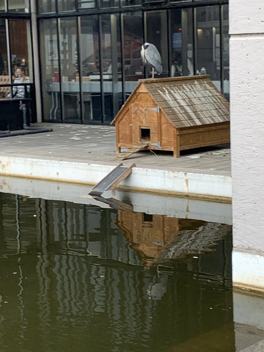 Only 19 days left at Leeds. Will miss you <a href="/UniofLeedsHeron/">UniofLeeds_Heron</a>