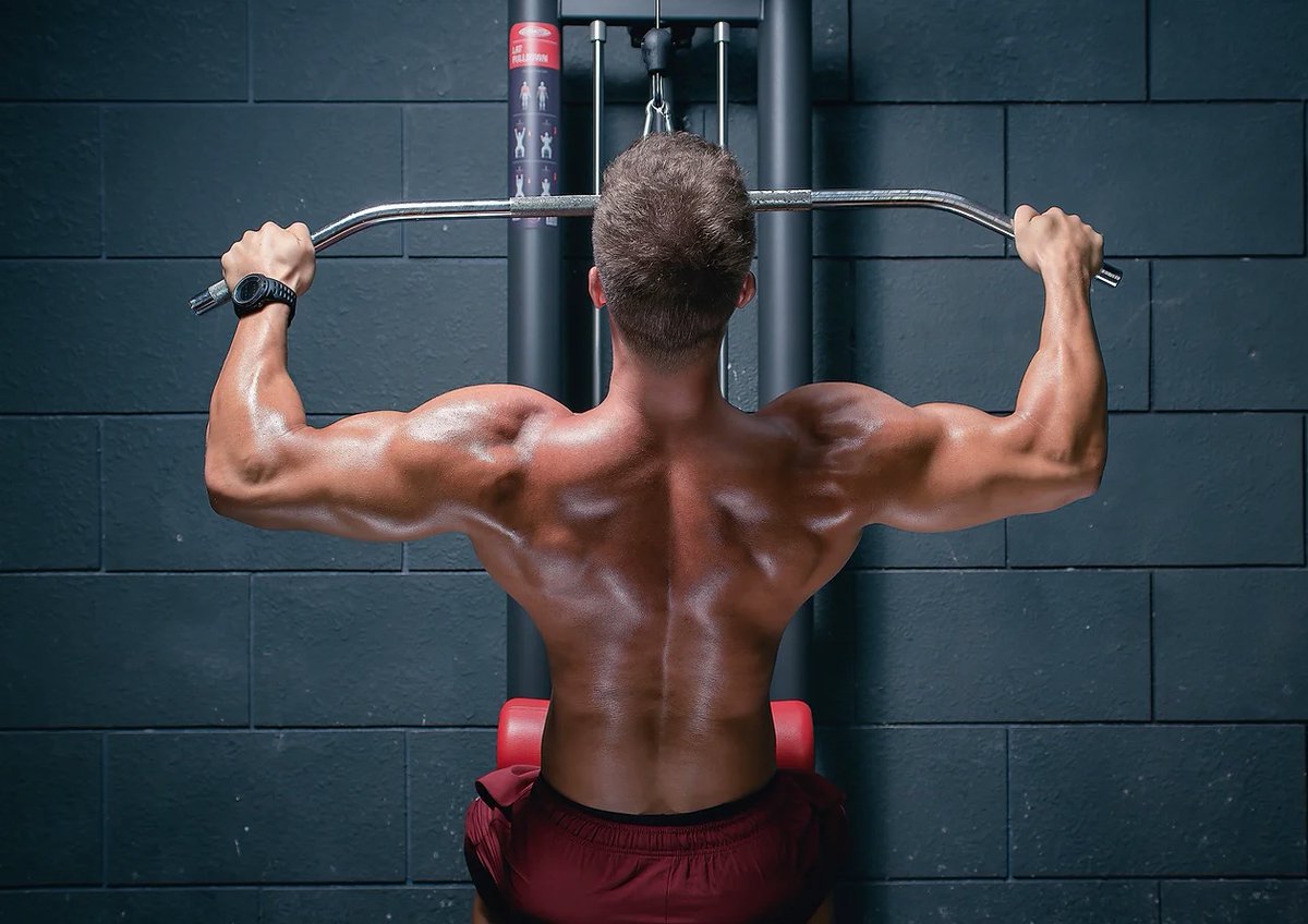 I’ve just published my latest blog post, about how to exercise for a strong back: bit.ly/4aNAF4C. If you have any questions about what I write about in this blog post, get in touch! 😎💪#PersonalTraining #Exercise #JulienBertherat