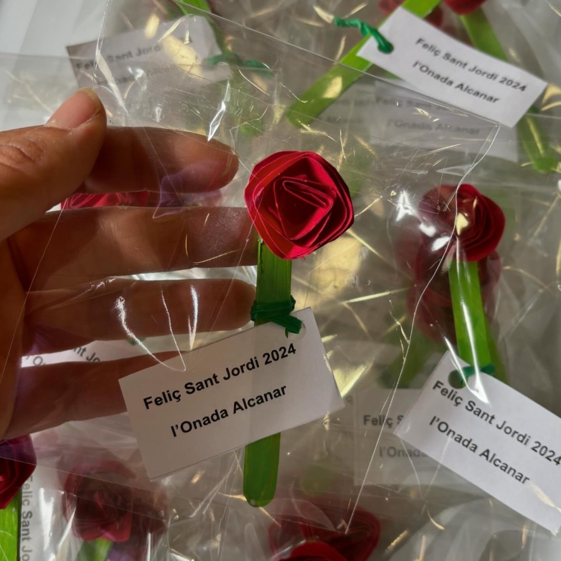 Un Sant Jordi més, ben especial. dlvr.it/T5xGY6