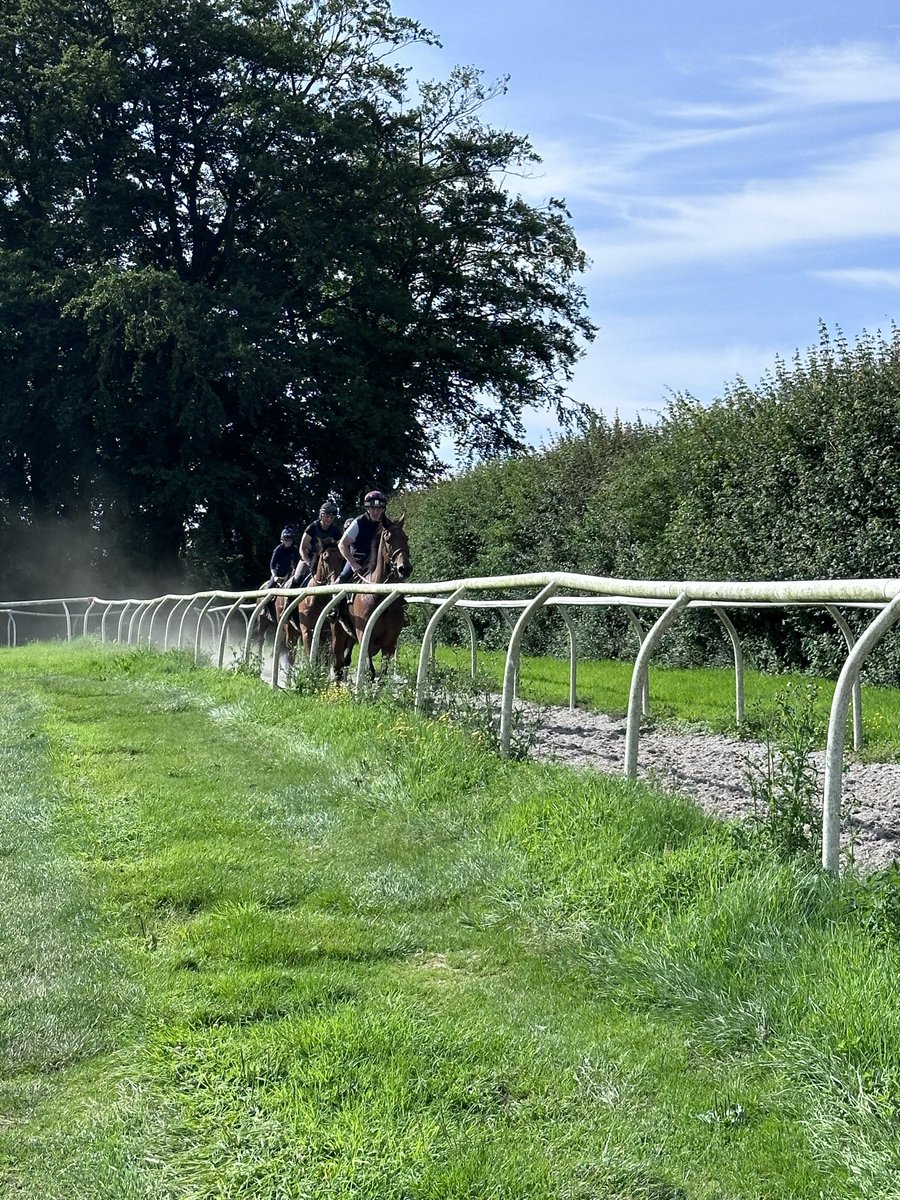 🐎 Wednesday Runner’s🐎 @LudlowRaceClub 2.35 pm ➡️ Porter In the Park @Joe_Anderson17 rides @UttoxeterRaces 5.35 pm ➡️ Red Rookie 7.20 pm ➡️ Honeywort @tommy_bells to ride both 7.50 pm ➡️ Jesuila Des Mottes @jamesbe19813630 rides #TeamLavelle#goodluck 🍀🐎