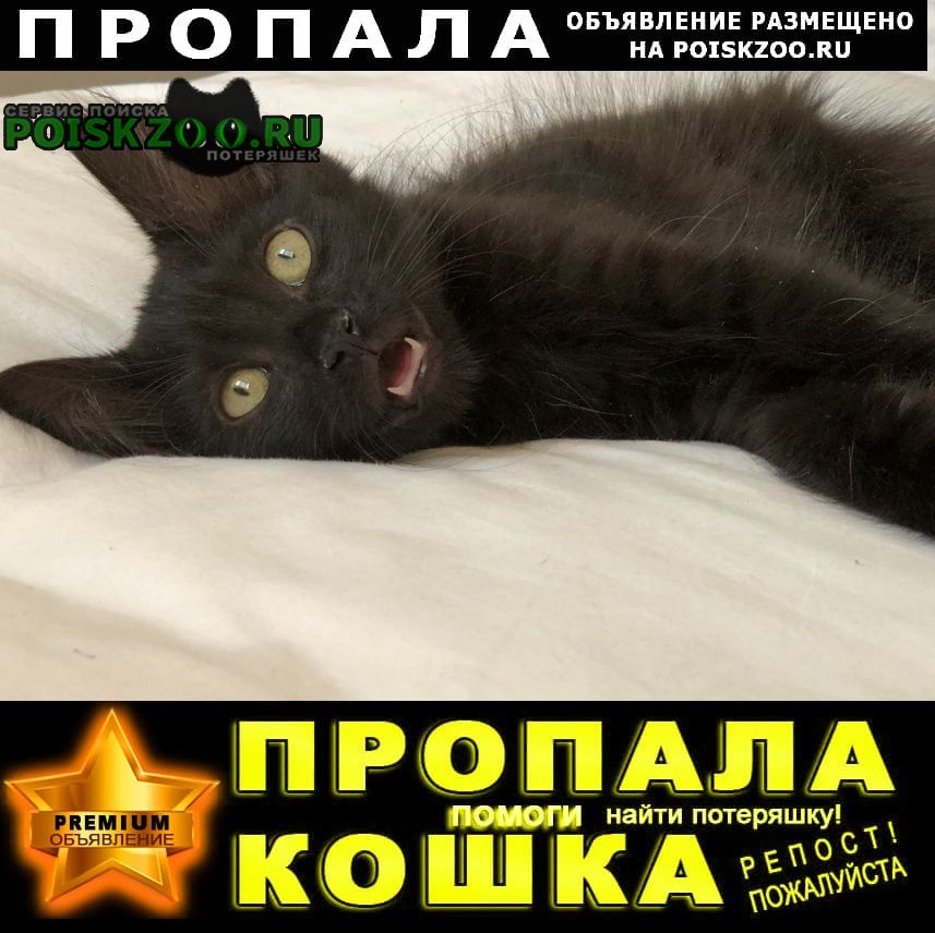 !!! ПРОПАЛА КОШКА ОКРАС ЧЕРНЫЙ. КЛИЧКА БОНЯ. МОСКВА - PREMIUM-Объявление #поискзоо #poiskzoo Подробнее по ссылке: poiskzoo.ru/180067 Пропала кошка. .., .. месяца. Мейнкун. Окрас черный. Боня. Вознаграждение: 1000 руб. 240424 #Пропала #кошка #Про... poiskzoo.ru/180067