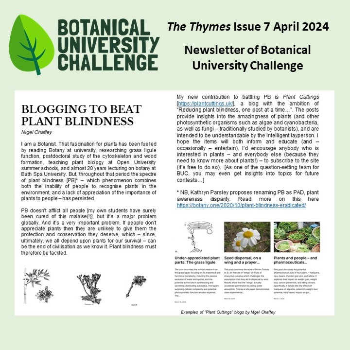 Why don't people see the plants around them? The Thymes, newsletter of Botanical University Challenge #BUC2024, article about #PlantBlindness/#PlantAwarenessDisparity/PAD by @NChaffey @drmgoeswild plantcuttings.uk