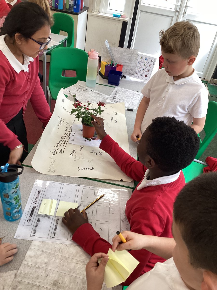 Today in Science, 3C investigated what variables plants need to survive and grow. In groups, they are conducting a scientific enquiry by depriving a plant of one variable. They have each made a prediction of what they think will happen to their plant…watch this space! 🌹🥀