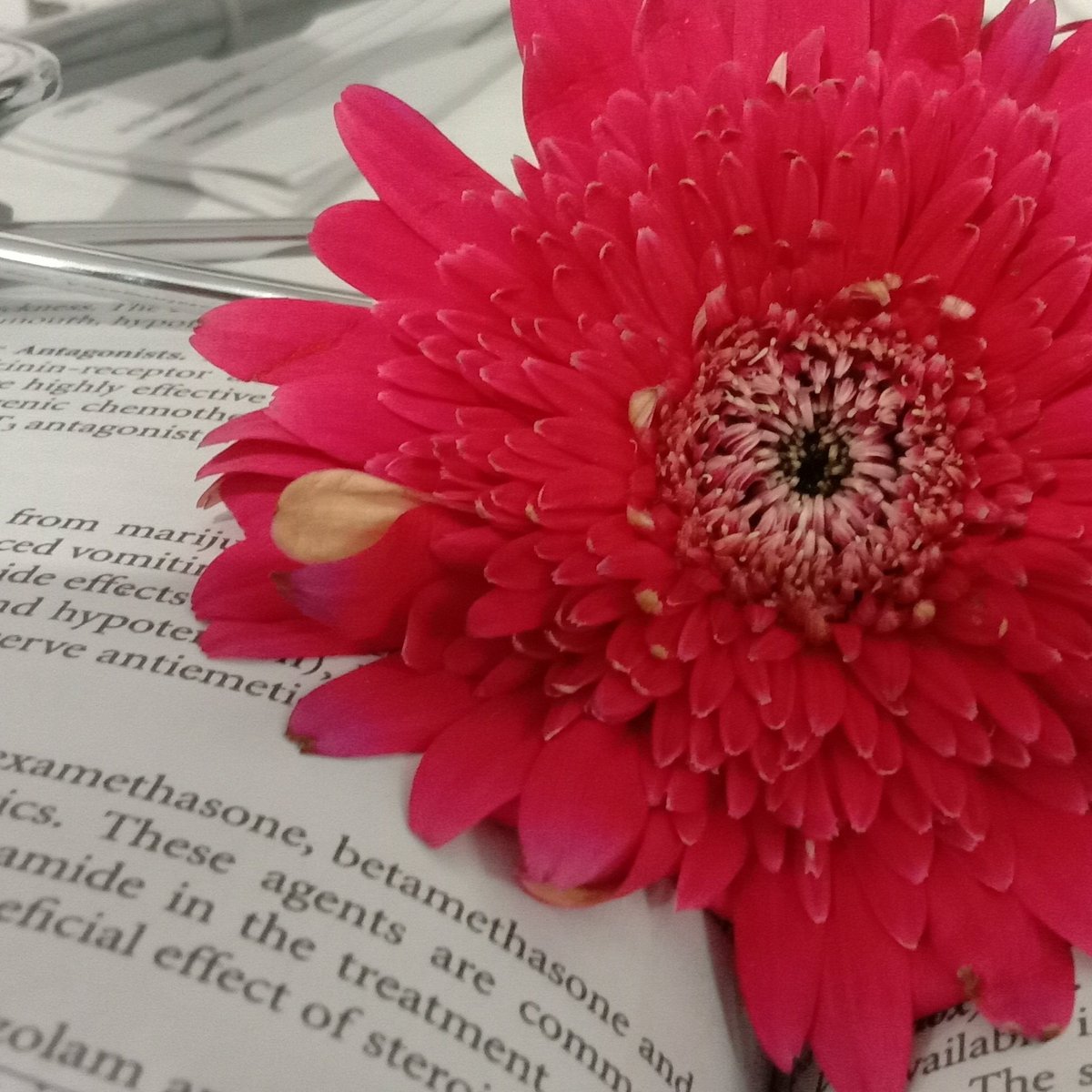 akanksha_dassi's tweet photo. #NewProfilePic https://t.co/043A23Nefg