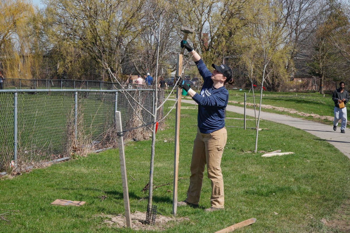NYPAenergy's tweet photo. #SprucingThingsUp: In celebration of #NationalVolunteerWeek, #EnvironmentalJustice Community Volunteer Corps members and our Tree Power team staked, tied, mulched and added tree bags to newly planted trees in #Buffalo's McCarthy Park. #EarthMonth https://t.co/nZWgFKgTO4
