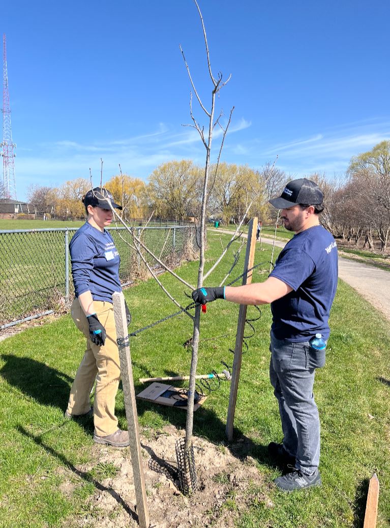 NYPAenergy's tweet photo. #SprucingThingsUp: In celebration of #NationalVolunteerWeek, #EnvironmentalJustice Community Volunteer Corps members and our Tree Power team staked, tied, mulched and added tree bags to newly planted trees in #Buffalo's McCarthy Park. #EarthMonth https://t.co/nZWgFKgTO4