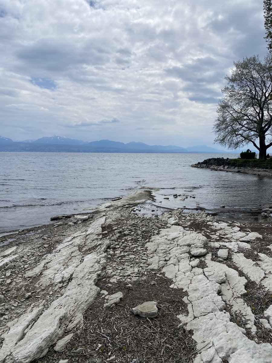 Madame_Poppins's tweet photo. #MarcheUneHeure
L’eau, le large…
Puis je suis revenue aux « racines ».
#Vidy #StSulpice #Lausanne
Toi, tu as pu / tu peux encore t’échapper un moment du tourbillon quotidien ? https://t.co/0tDF7XQwxG