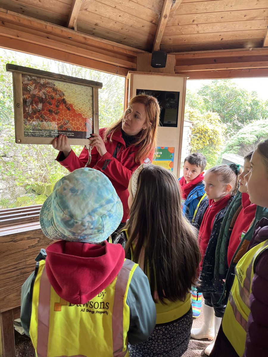 Dosbarth Daffodils enjoyed visiting National Botanic Gardens today! We are learning about the importance of bees and why we need to look after them. 🐝🐝🐝🐝#tupscience #tupwellbeing