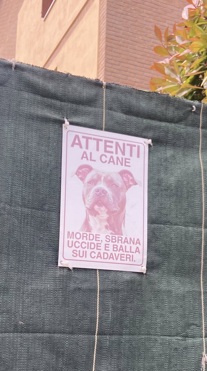 spirito guida