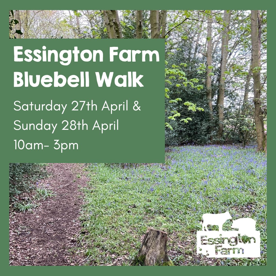 Essington Farm (@essingtonfarm) on Twitter photo OPEN THIS WEEKEND!
Charity Bluebell Walk at Essington Farm in aid of <a href="/BrainTumourOrg/">The Brain Tumour Charity</a>
No need to book, just turn up!
Well behaved dogs on leads are welcome.
No admission fee, just a discretionary donation.
#bluebellwalk #naturewalks #outinnature #weekendwalks #charitywalk OPEN THIS WEEKEND!
Charity Bluebell Walk at Essington Farm in aid of <a href="/BrainTumourOrg/">The Brain Tumour Charity</a>
No need to book, just turn up!
Well behaved dogs on leads are welcome.
No admission fee, just a discretionary donation.
#bluebellwalk #naturewalks #outinnature #weekendwalks #charitywalk
