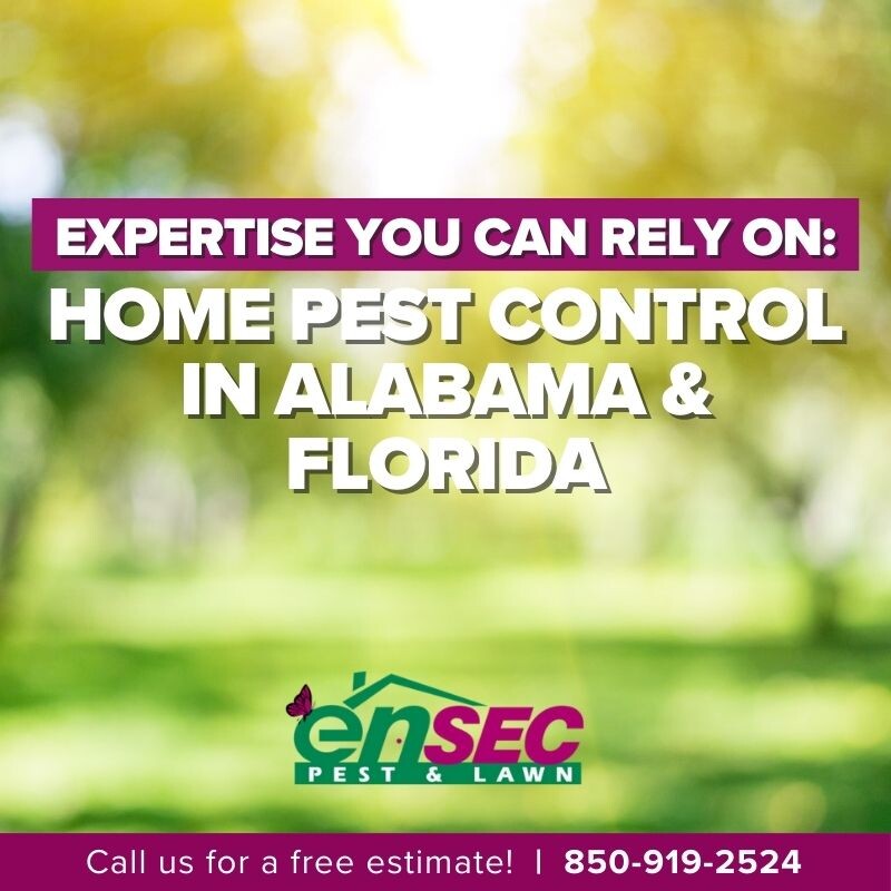 Secure your home with professional pest control in Alabama & Florida. Enjoy a pest-free environment with peace of mind! #HomeProtection