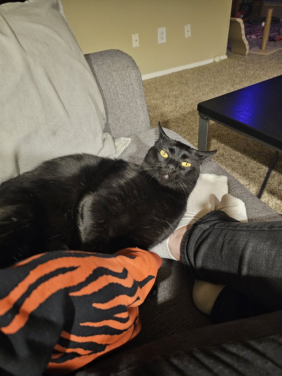 cheetotink's tweet photo. an evening with salem: https://t.co/eLifHiB6rK