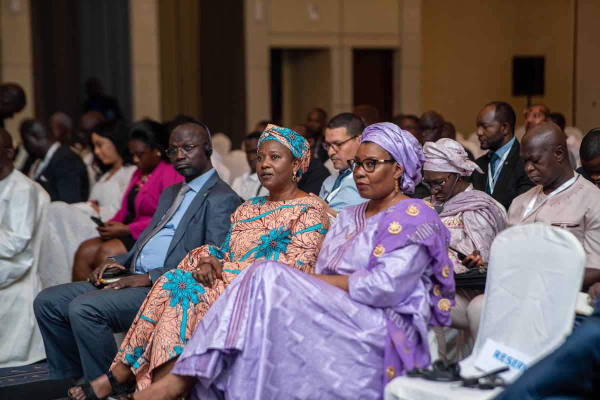 RealSmartAfrica's tweet image. &quot;At Smart Africa, we have long championed the cause of #digitalintegration, recognizing it as a fundamental driver of #Africa&apos;s socio-economic transformation,” @CEOSmartAfrica remarked in his address at the continental launch of #WARDIP.

@MoCDE_Gambia