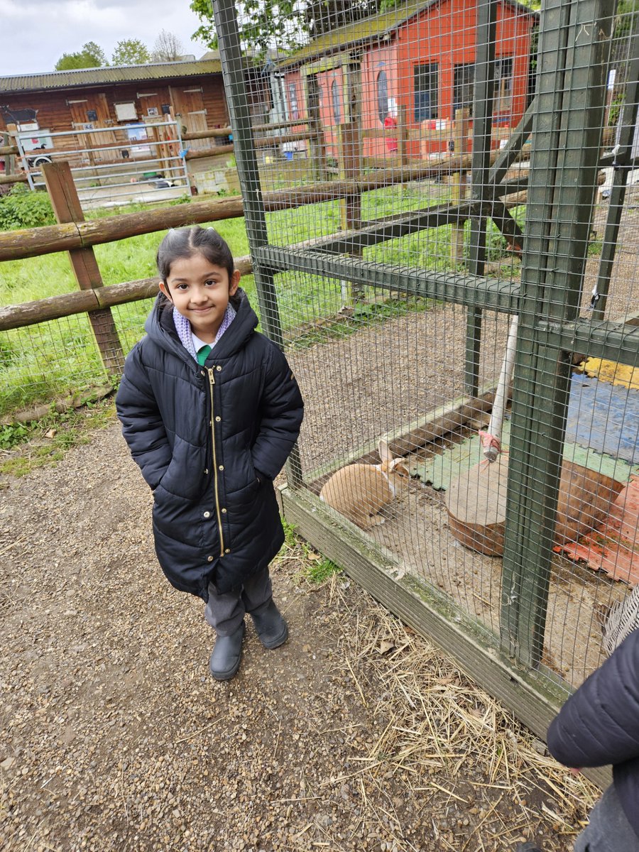 #EYFS loved exploring through Spitalfields's City #Farm. They saw many animals and their habitats and learnt of the different foods they eat. They also met the new #Spring born animals! 🐄🐐 #Animals #WildLife