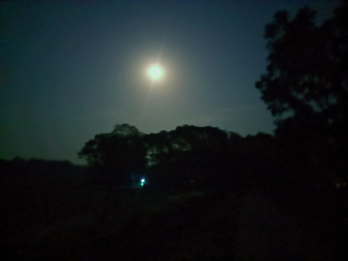 Today's moon is very #beautiful