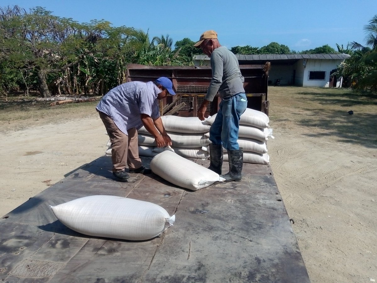 #Niquero no sé detiene a pesar de las adversidades del intenso sol y calor los trabajadores de la Empresa Mayorista  #Niquero #Granma garantizan la entrega de la canasta básica para la alimentación del pueblo #GenteQueSuma #PorCubaJuntosCreamos