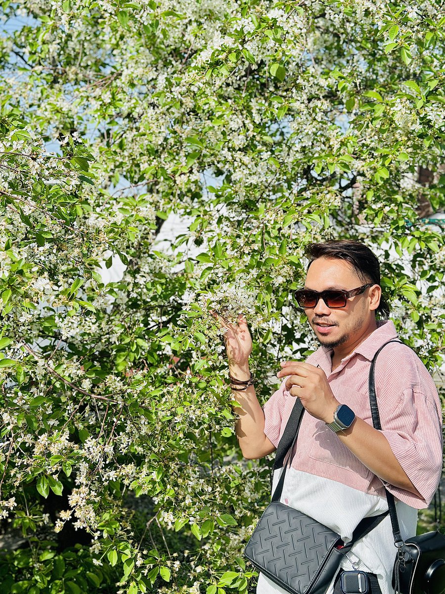 Cherry blossoms in #Bishkek, too! 🌸
#WhenInKyrgyzstan🇰🇬