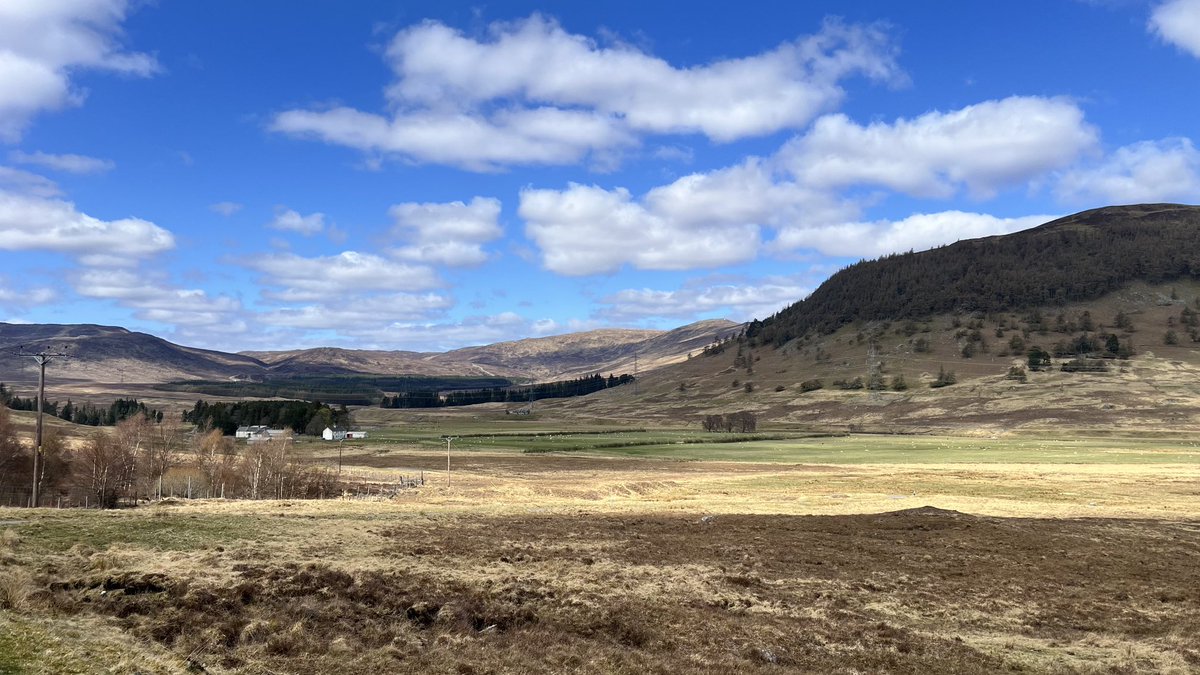 seonaidh mackenzie tweet media