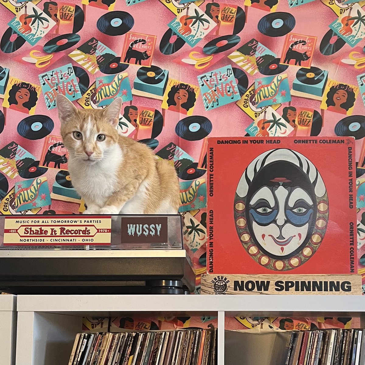 WEDNESDAY SPINS DANCING IN YOUR HEAD (1977) Here is Ronnie with one of my favorite Ornette Coleman LP’s. “Theme from a Symphony' was the first recording to feature Coleman's electric band, which later became known as Prime Time.
