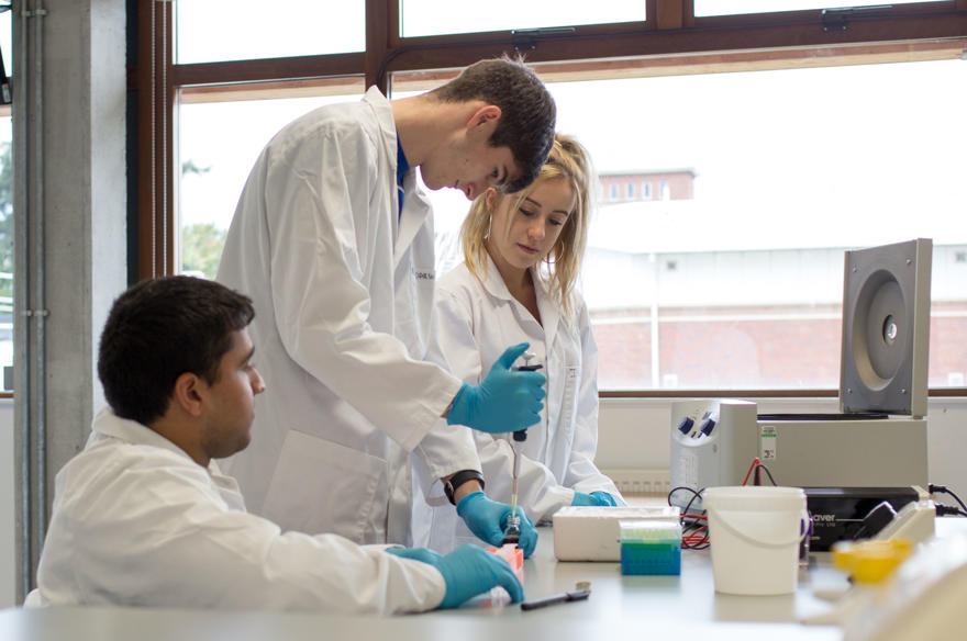 PhD opportunity @UoW_BRG: Prognostic Markers in Bladder Cancer Supervisors: @DrC_Biochemist, Dr @ColseyColes and Dr Emma Edwards 📖Read more about the project worc.ac.uk/research/resea… 🔗 Apply online worcester.ac.uk/courses/human-…
