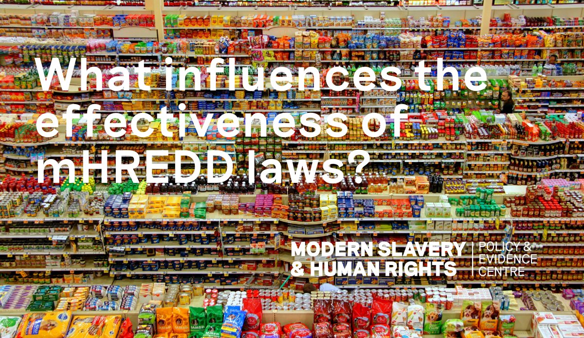 Modern Slavery and Human Rights PEC tweet media