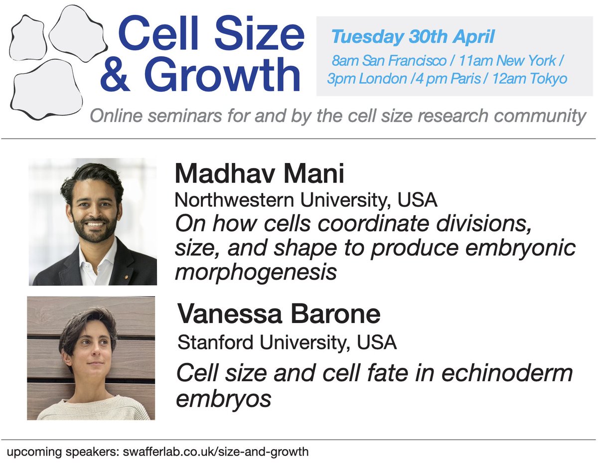 mpswaffer's tweet image. Please join us next week at Cell Size & Growth for another exciting pair of talks focusing on the role of cell size, division and fate in embryo development. Talks from Madhav Mani (@NorthwesternU) and @Vane_Barone (@Stanford).
Free registration: swafferlab.co.uk/size-and-growt…