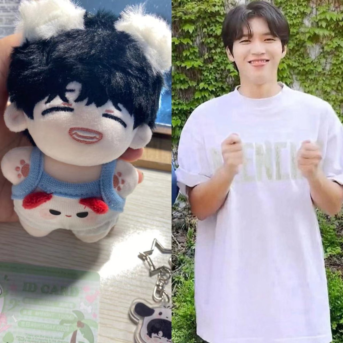 这次做的好快啊，都发完了