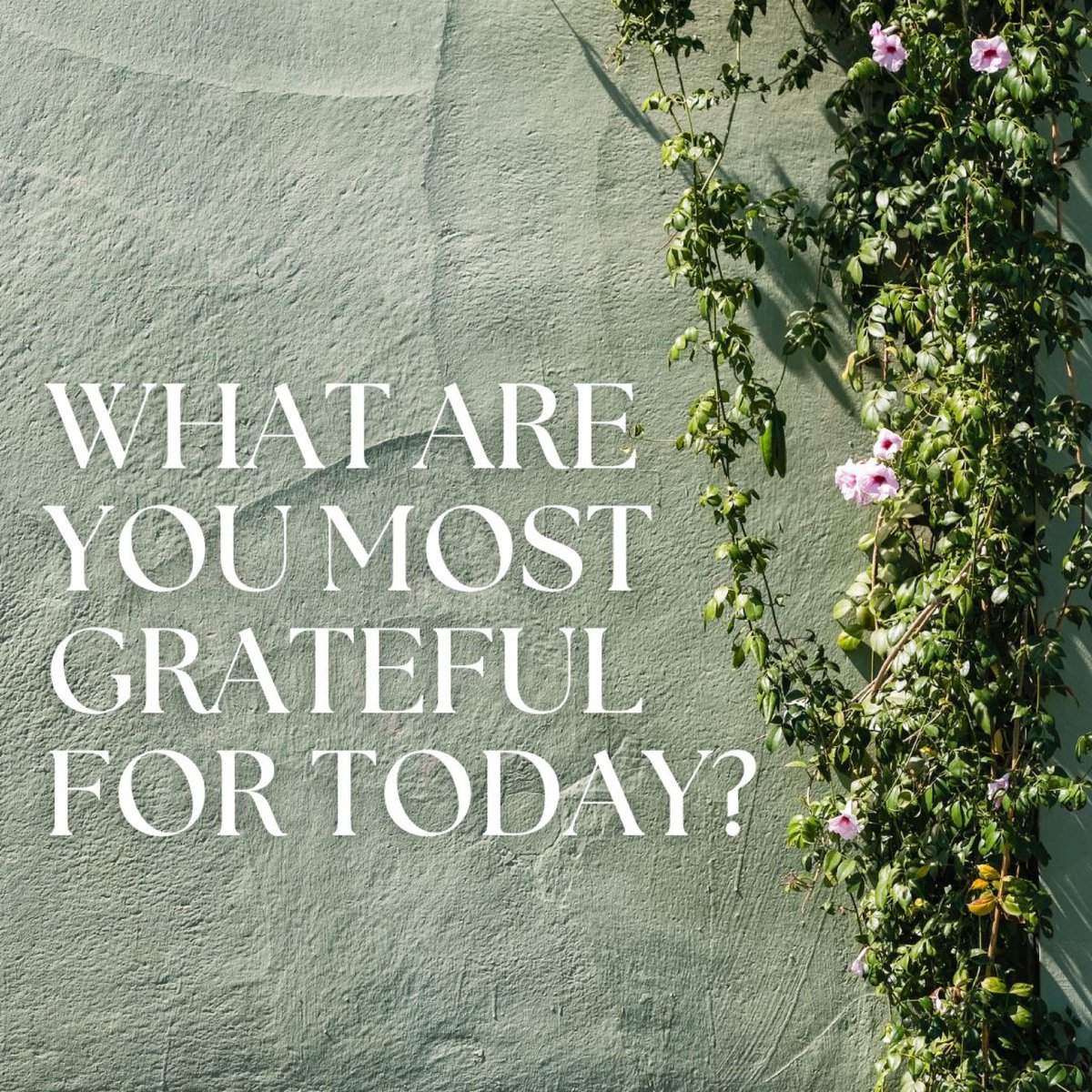 What are you most grateful for today?

 #GratefulHeart #BlessedLife #GratitudeAttitude #AppreciationPost