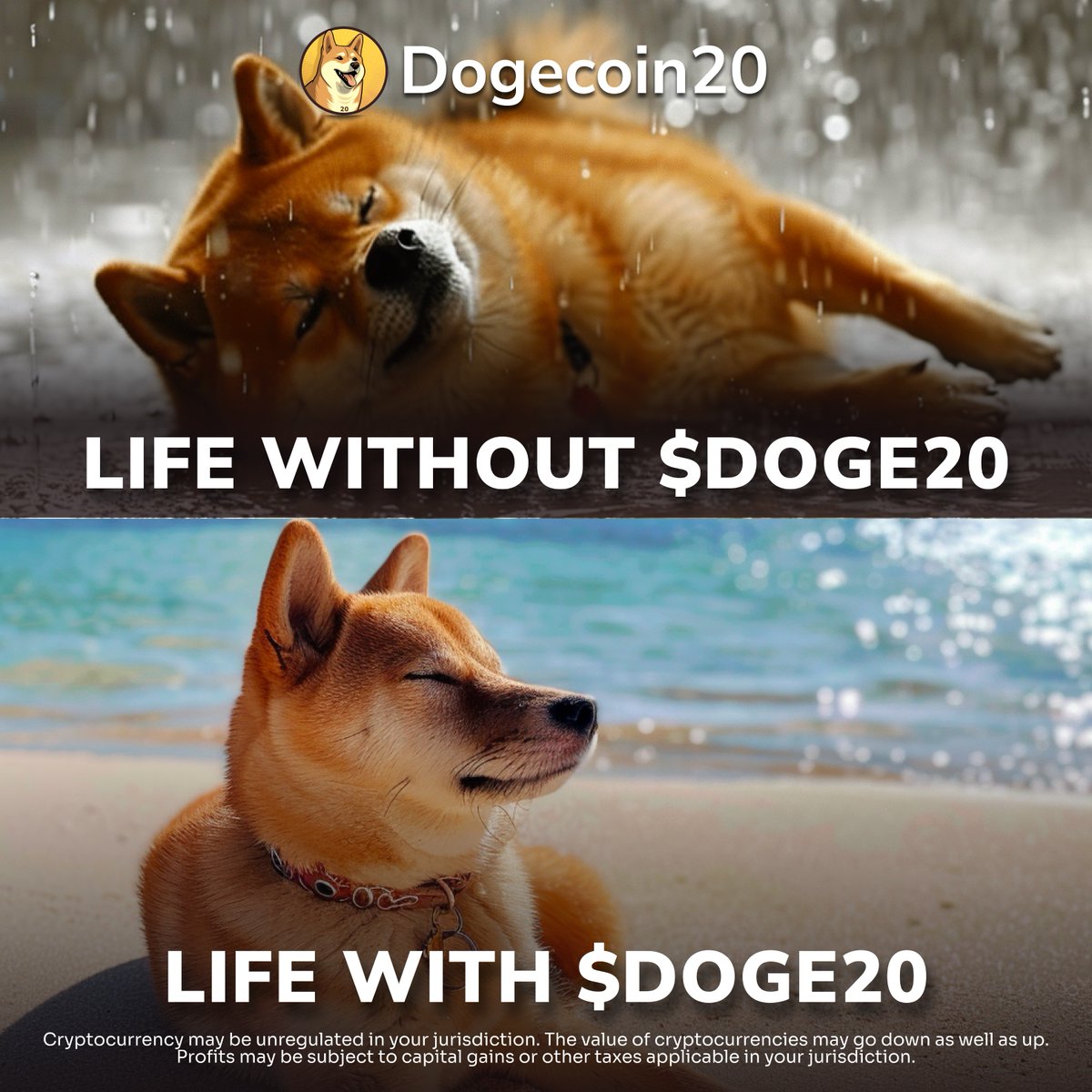 Dogecoin20 tweet media