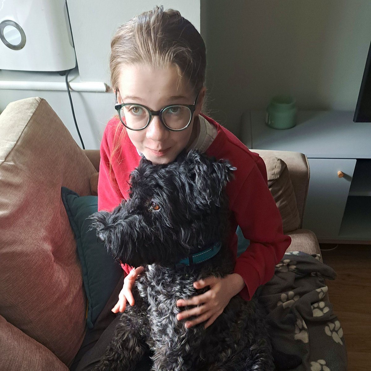 Dave_Examiner's tweet photo. Dog and daughter. 💙 #kerryblue #kerryblueterrier https://t.co/x79Yivkf2D