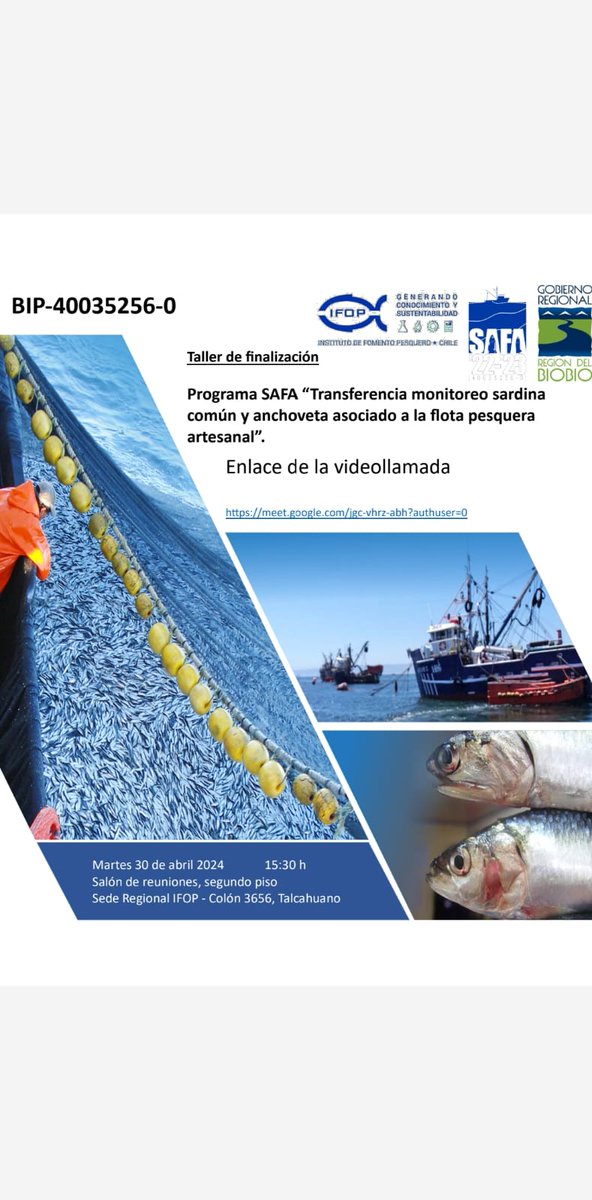 SAFA_IFOP's tweet photo. Estimados, se reprograma taller de finalización de SAFA de este jueves 25 de abril por motivos de fuerza mayor (reunión comisión de pesca en UdeC). Está se reprogramó para el martes 30 de abril en sede IFOP de Avda Colón 3656, Talcahuano.

Esperamos contar con su participación https://t.co/LB1zeJE33l