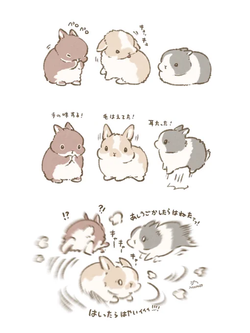 🌏こうさぎの大発見 