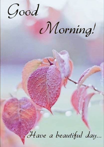 SafeerAli55937's tweet photo. Asalam O Allikum💯💯💯💯
. 
. 
Good morning🌹🌹🌹🌹🌹... https://t.co/rvWAmhMlDh
