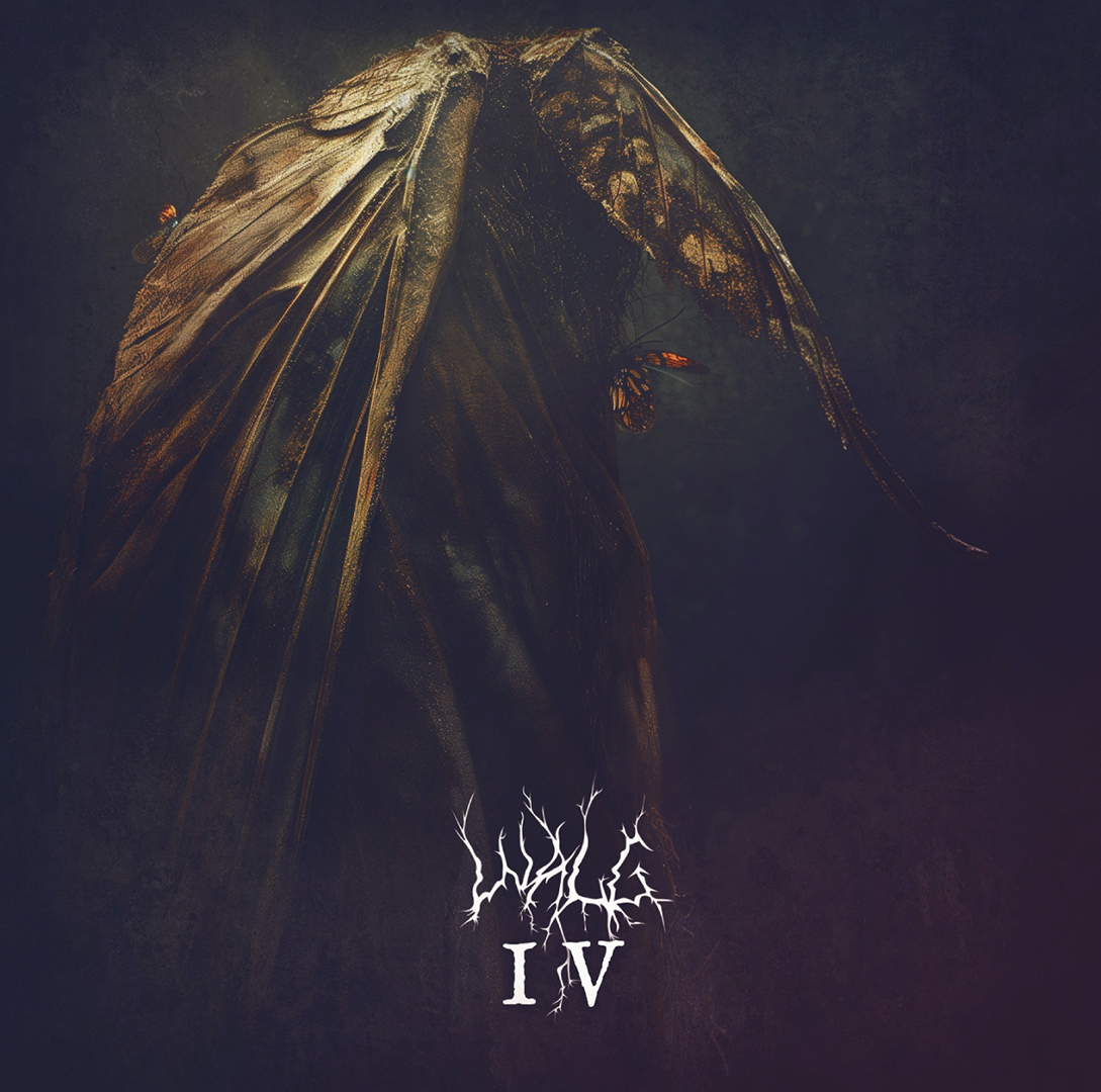 Walg - IV (2024) Melodic Black Metal from the Netherlands. Album Stream at 18:30 CET. ▶ youtu.be/b8NUZRx50HI #blackmetal #blackmetalpromotion #dutchblackmetal #nlbm #melodicblackmetal