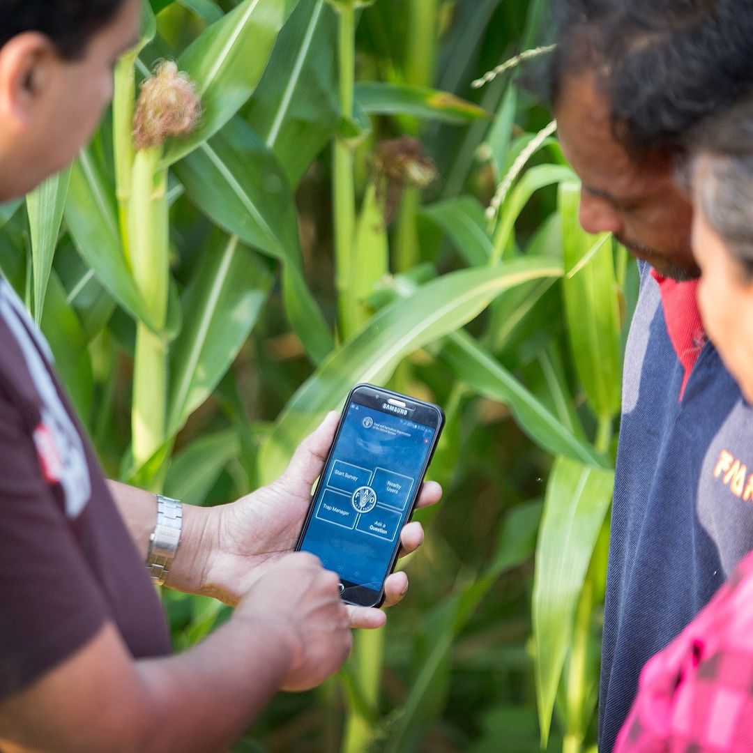 Digital technologies have the potential to #revolutionise agriculture by helping #farmers work more precisely, efficiently and #sustainably.