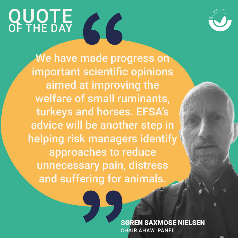EFSA_EU's tweet photo. #ICYMI: Discover the latest adoptions and discussions from the open plenary meeting of the Panel on #AnimalHealth and Welfare (AHAW).

Check out the snapshot here 👇

#AnimalWelfare #OpenEFSA

@Animals_EFSA