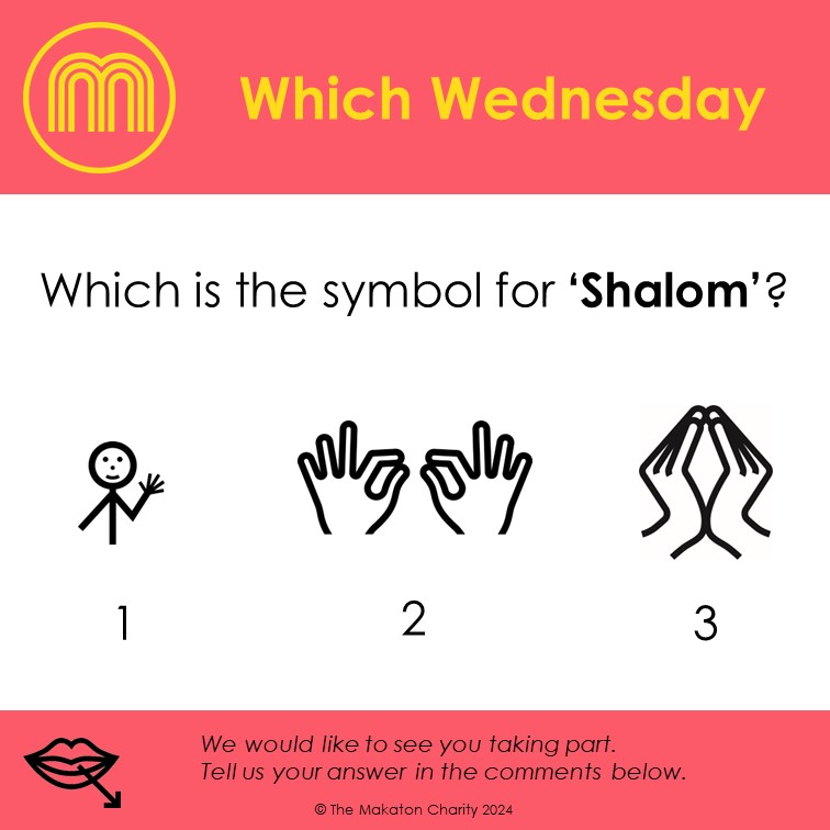 🌟Which Wednesday🌟 Can you identify the symbols in the image? Check your answer by going to the Makaton Insights folder in the Makaton Library to see if you guessed it right! Create an account via the link bit.ly/3DNVApG #Makaton #MakatonSymbols #WhichWednesday