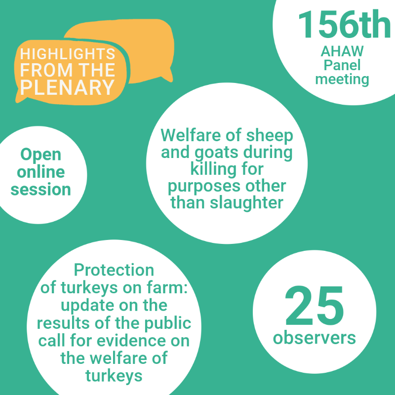 EFSA_EU's tweet photo. #ICYMI: Discover the latest adoptions and discussions from the open plenary meeting of the Panel on #AnimalHealth and Welfare (AHAW).

Check out the snapshot here 👇

#AnimalWelfare #OpenEFSA

@Animals_EFSA