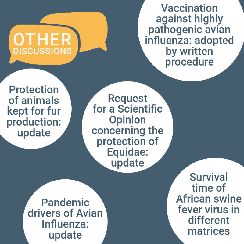 EFSA_EU's tweet photo. #ICYMI: Discover the latest adoptions and discussions from the open plenary meeting of the Panel on #AnimalHealth and Welfare (AHAW).

Check out the snapshot here 👇

#AnimalWelfare #OpenEFSA

@Animals_EFSA