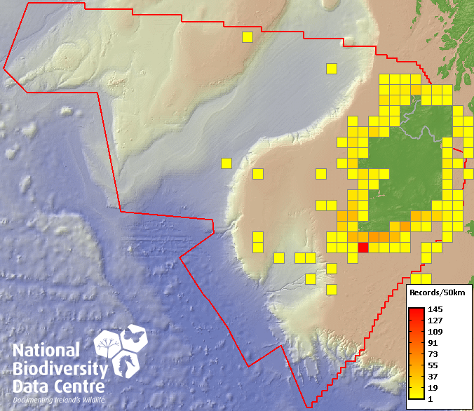 We have uploaded an updated and Open Access dataset of Irish Marine Turtle Records to Biodiversity Maps. Many thanks to Gabriel King, Rod Penrose and all data contributors for their support. Explore more at: maps.biodiversityireland.ie/Dataset/114