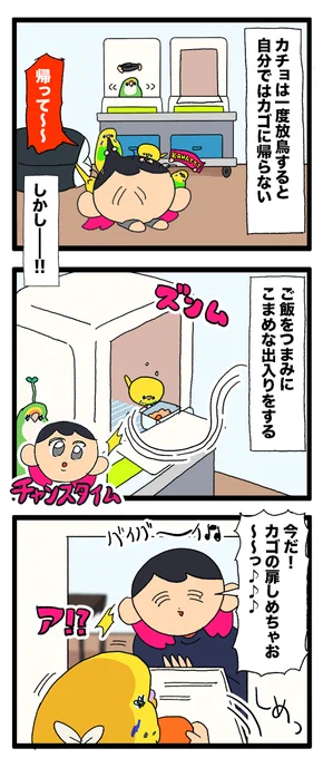カチョちゃん、飼い主と遊びたくて人参をくわえて慌てて走ってきた🥕

1103 #えるポピの絵日記かくところ 