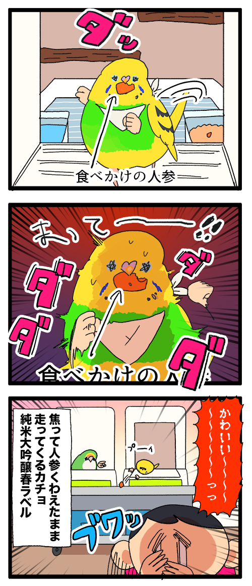 カチョちゃん、飼い主と遊びたくて人参をくわえて慌てて走ってきた🥕

1103 #えるポピの絵日記かくところ 