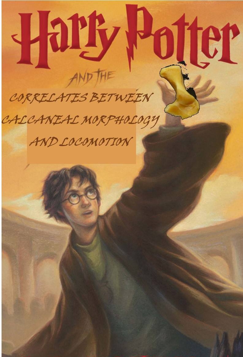Facebook just reminded me of the time I did the 'thesis as a Harry Potter title' meme.