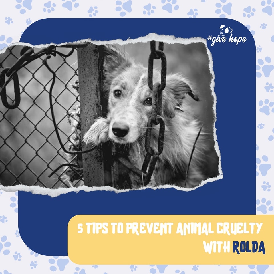 ROLDAOrg's tweet photo. Part1: #UnChainDogs
Chained animals are abused animals. Dogs that are kept chained up are vulnerable to dangerous conditions, and often experience poor health and well-being.
What can you do?
· Speak out whenever you see a chained animal. If it’s safe to do so, politely speak to the owner. If that does not work, inform your local animal protection authorities.
· Sign the ROLDA petition, https://t.co/8b0fXGhGSL urging proper enforcement of anti-chain laws in Romania.