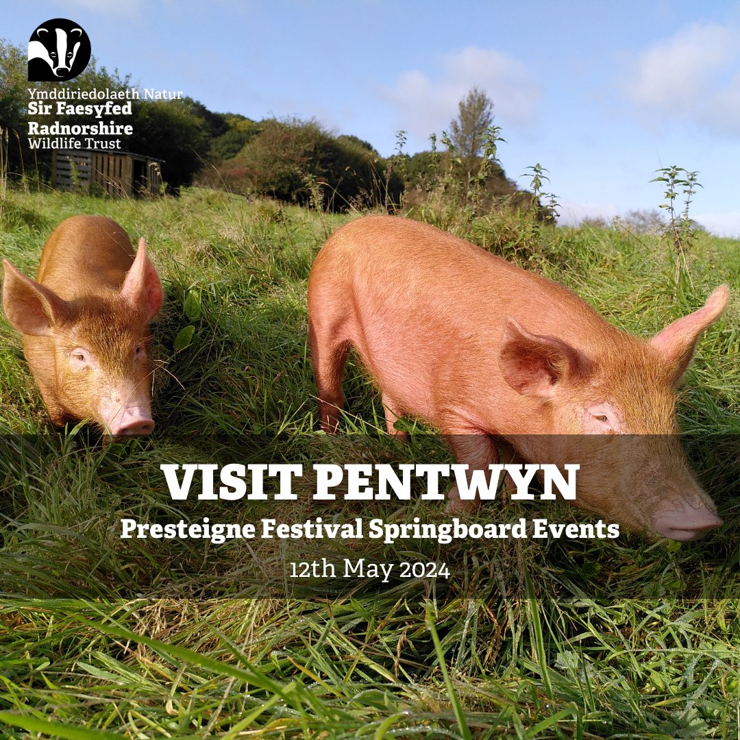 Join us at #PentwynFarm for a guided walk led by the RWT team, part of the Presteigne Festival Springboard Events 🍃 An opportunity to visit the site at the beginning of its 30-year journey towards sustainable farming. Book here: presteignefestival.com/events/