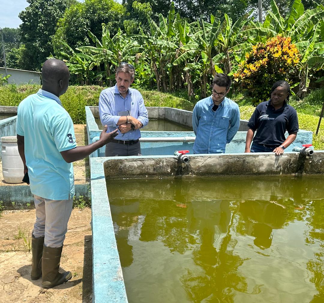 Une mission de #FISH4ACP sur la station de Mopoyem, productrice d’alevins. Le projet soutient l’amélioration de la production d’alevins de qualité pour booster la production de Tilapia. 10 producteurs d’alevins seront formés à la production d’alevins dans une écloserie au Ghana