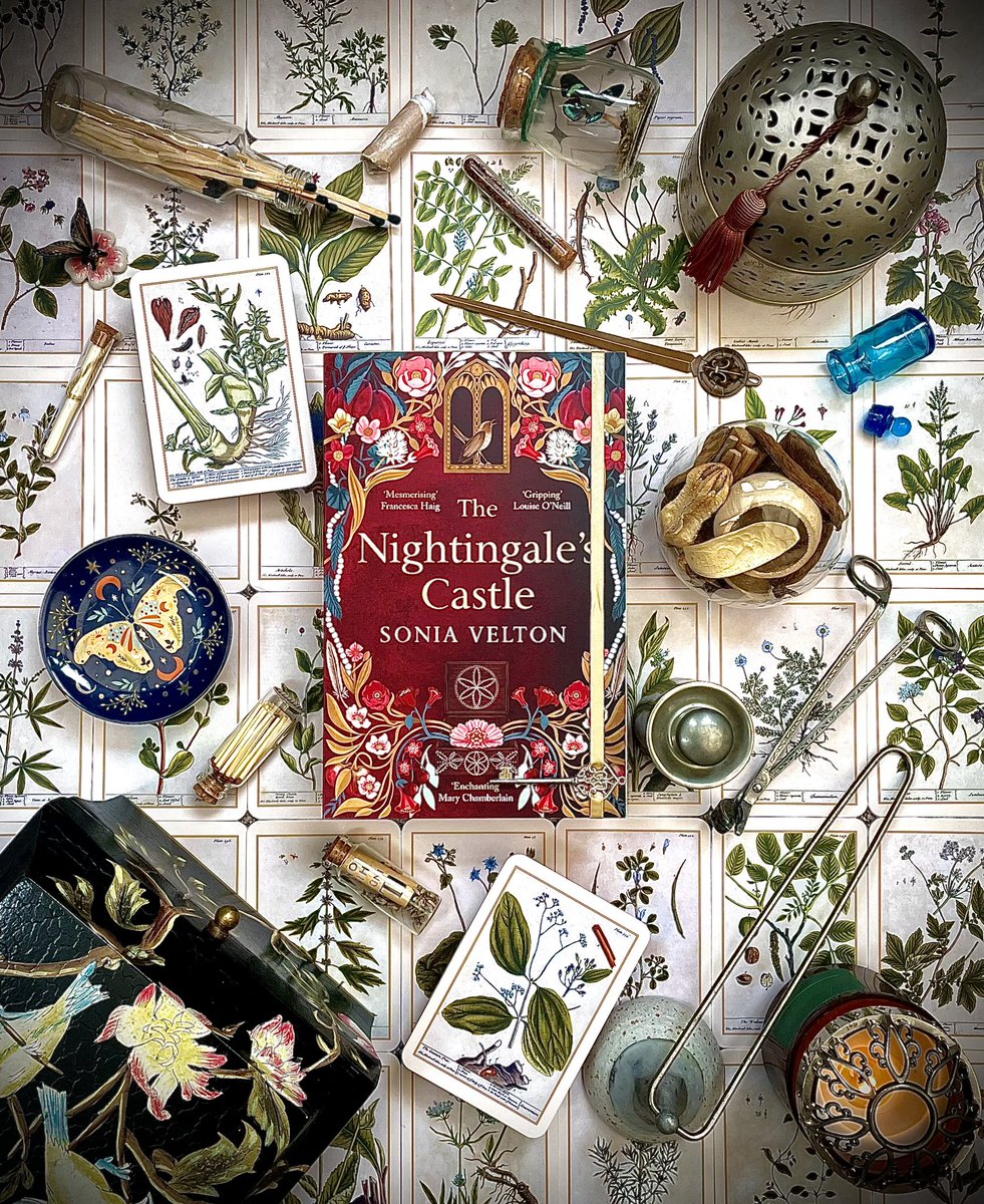 🌺 Dear reader, my review of #TheNightingalesCastle by @Soniavelton is now live over on Instagram 🌺
🖤 This sumptuous and gothic delight captivated me from the very first page! Publishing May by @AbacusBooks @LittleBrownUK 🖤
#BookReview #BookTwitter #booktwt