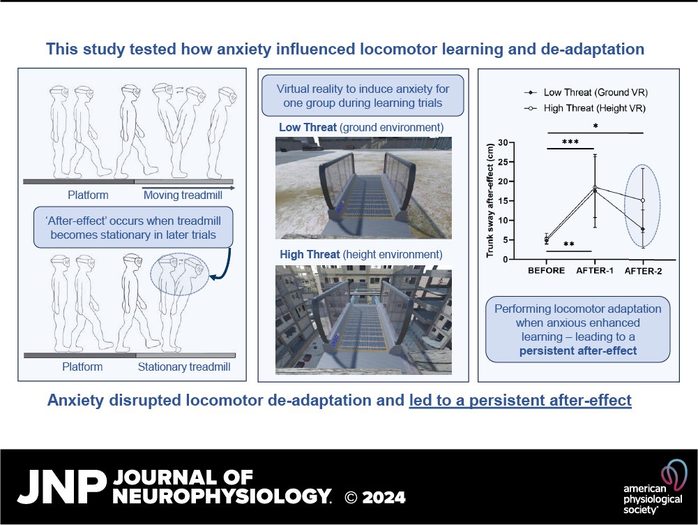 JNeurophysiol's tweet photo. 🔓#OpenAccess ➡️The influence of postural threat-induced anxiety on #LocomotorLearning and updating (@Toby_Ellmers et al.)
https://t.co/tjBXaVo3zx
#LocomotorAdaptation #MotorLearning #Neurophysiology #JNeurophysiol https://t.co/RPSG7I6MrE